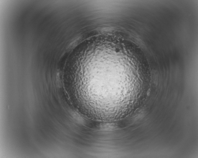 X0000067870378200604131242