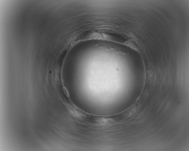 X0000067870379200604131242