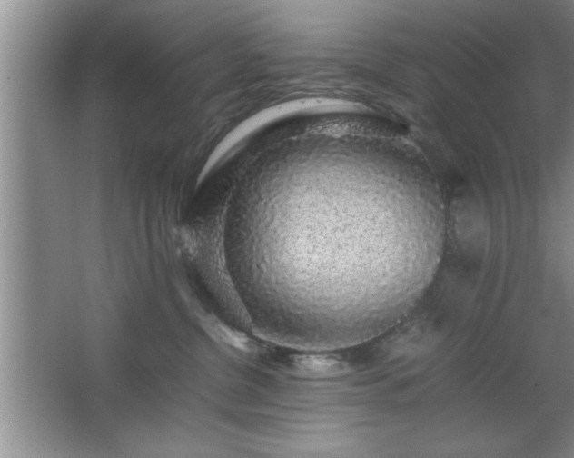 X0000067870380200604131243