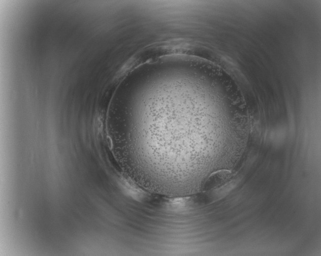 X0000067870382200604131243