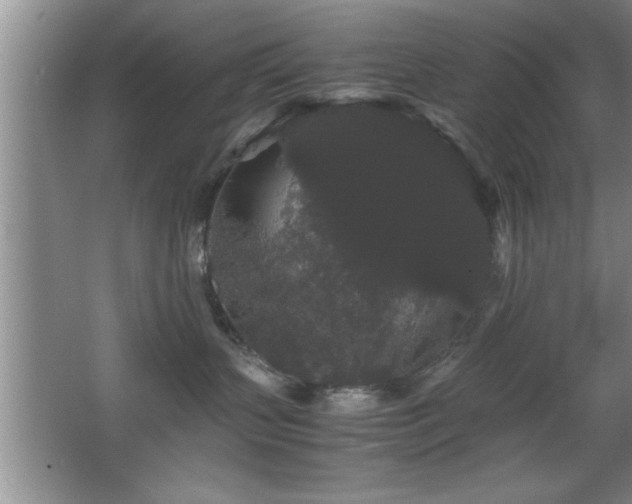 X0000067870383200604131243