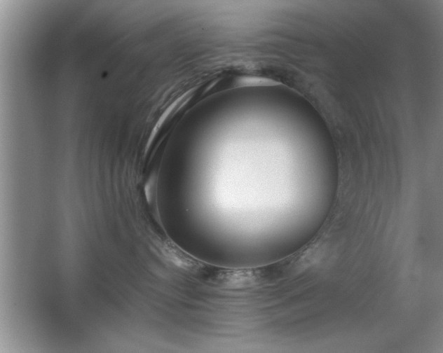 X0000067870384200604131243