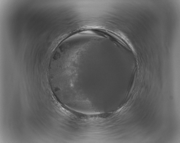 X0000067870385200604131242