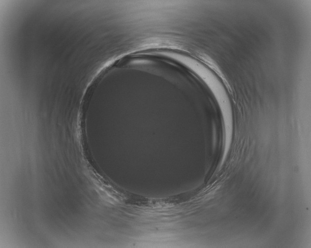 X0000067870387200604131242