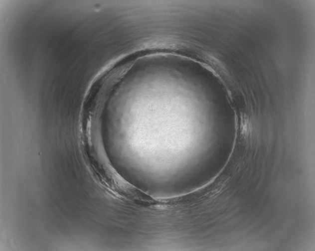 X0000067870388200604131242