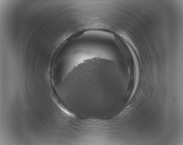 X0000067870389200604131242