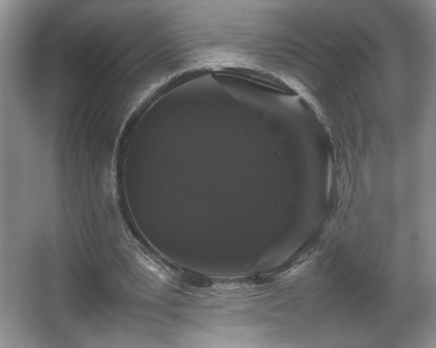 X0000067870391200604131242