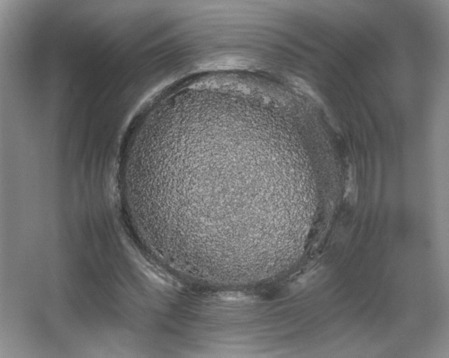 X0000067870392200604131242