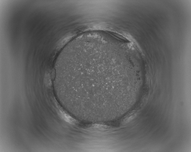 X0000067870393200604131242