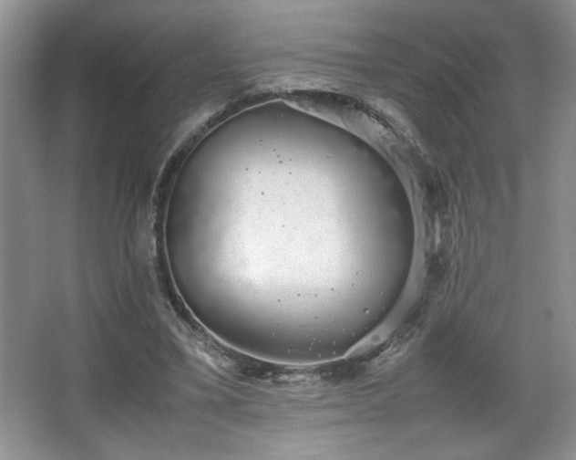 X0000067870395200604131242