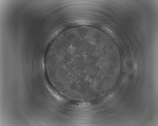 X0000067870398200604131242