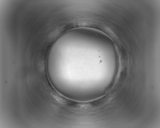 X0000067870401200604131241