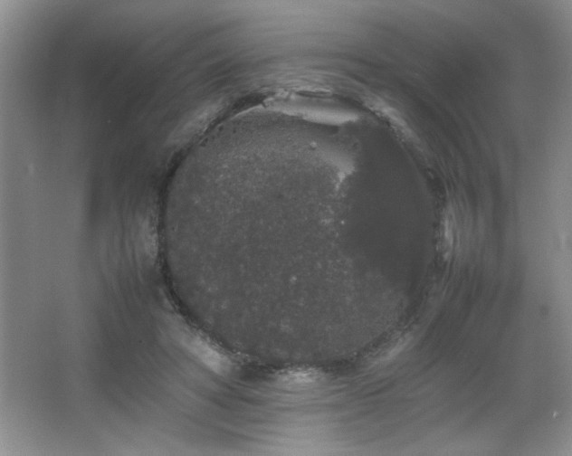 X0000067870402200604131241