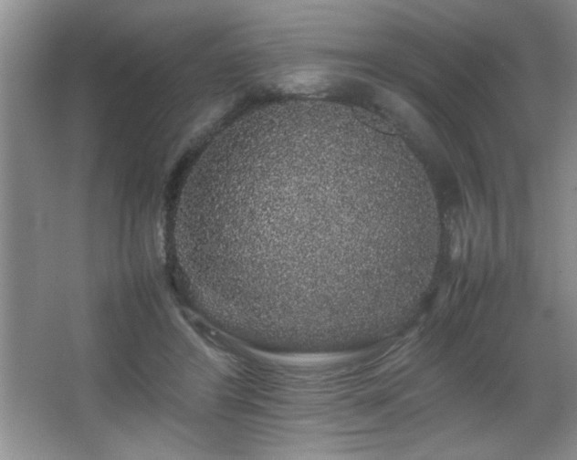 X0000067870404200604131241