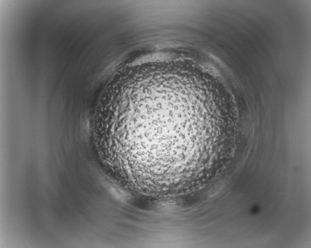 X0000067870405200604131241