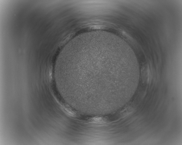 X0000067870406200604131241