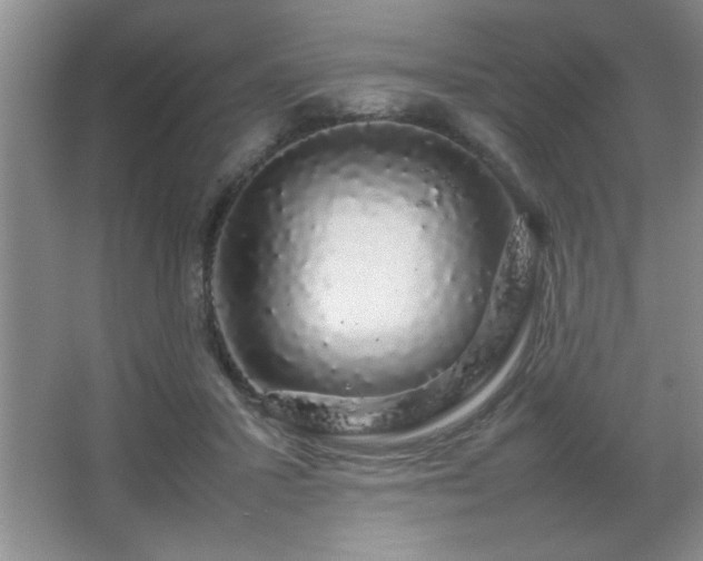 X0000067870407200604131241