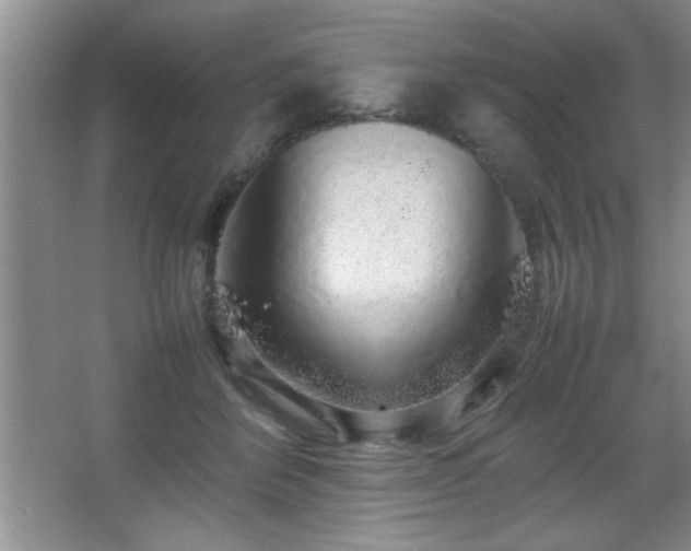 X0000067870412200604131241