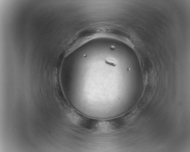 X0000067870413200604131241