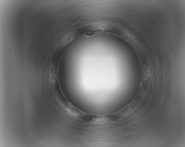 X0000067870414200604131241