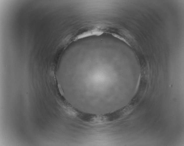 X0000067870415200604131241