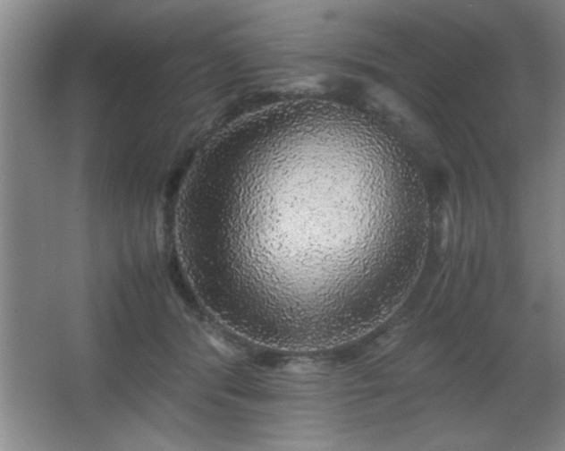 X0000067870416200604131241