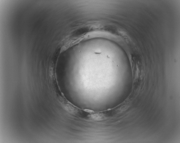 X0000067870417200604131241