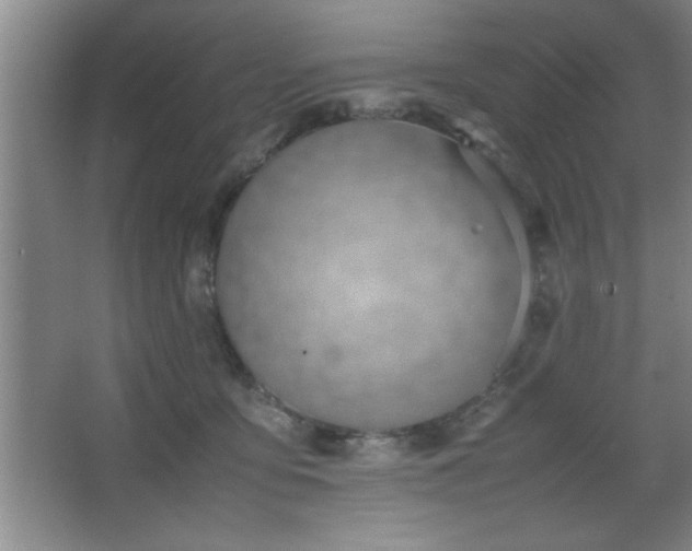 X0000067870419200604131241