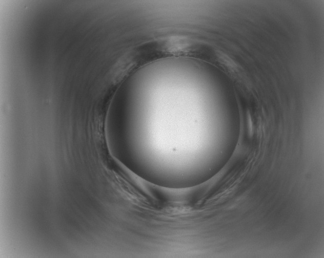 X0000067870421200604131241