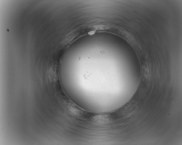 X0000067870422200604131241