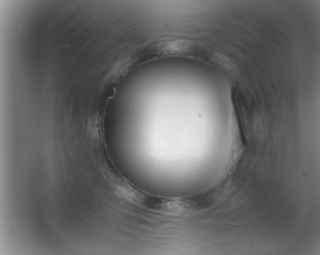 X0000067870423200604131241