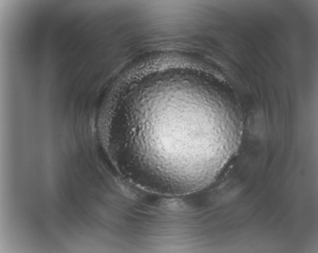 X0000067870424200604131241