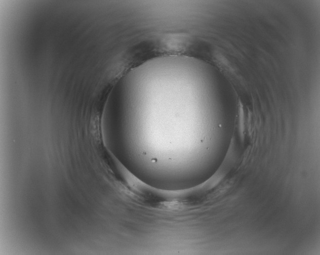 X0000067870425200604131241