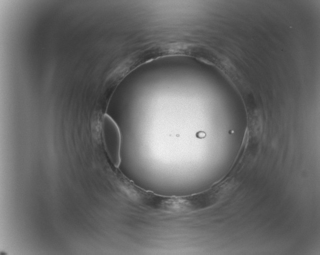 X0000067870427200604131241