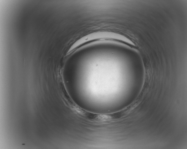 X0000067870429200604131241