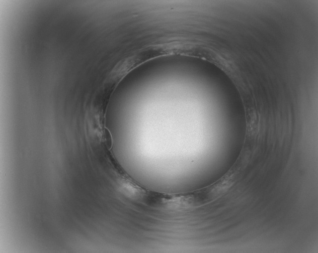 X0000067870430200604131241