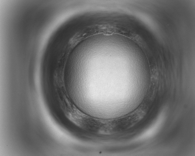 X0000067870431200604131241