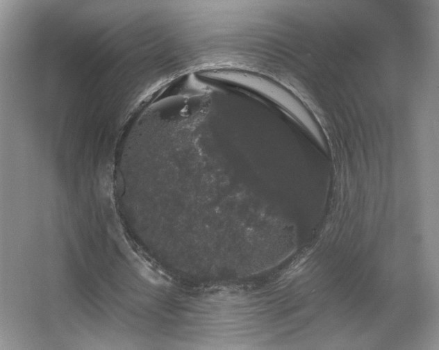 X0000067870434200604131240