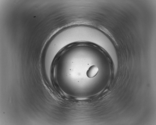 X0000067870436200604131240