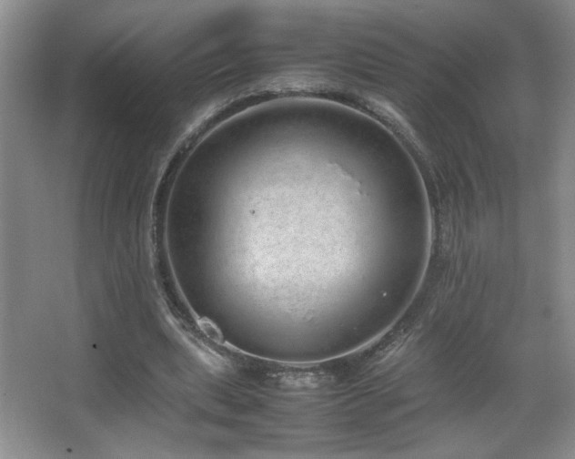 X0000067870439200604131240