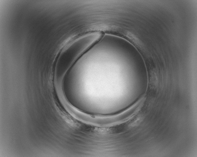 X0000067870440200604131240