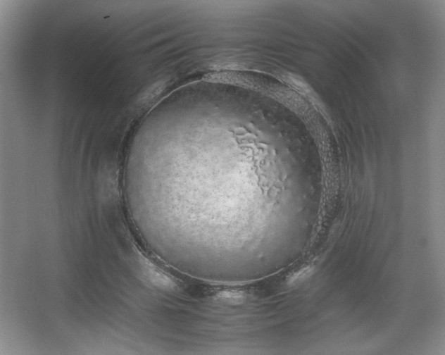 X0000067870441200604131240