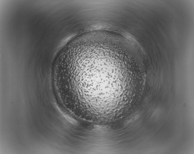 X0000067870442200604131240