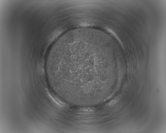 X0000067870443200604131240