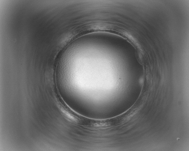 X0000067870445200604131240