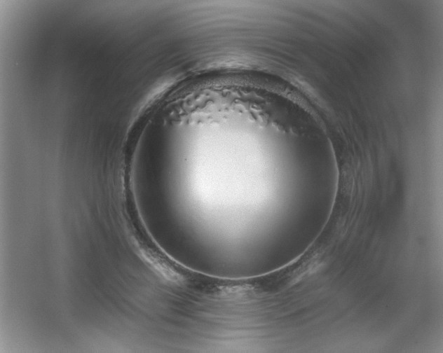 X0000067870446200604131240