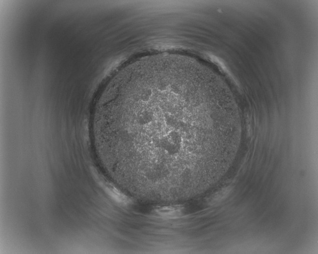 X0000067870447200604131240