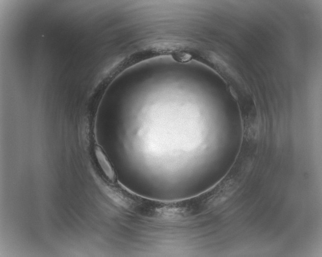 X0000067870448200604131240