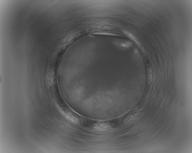 X0000067870451200604131240