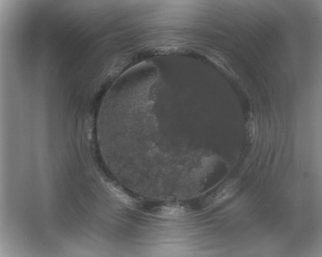 X0000067870458200604131241